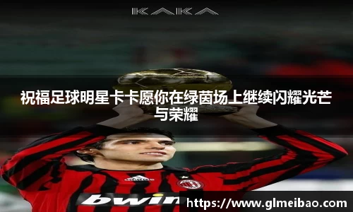 365WM完美体育官网