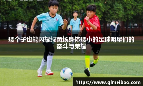 365WM完美体育官方app