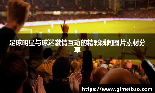 足球明星与球迷激情互动的精彩瞬间图片素材分享